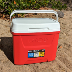 medium beach cooler for rent